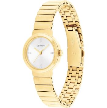 Preview: Calvin Klein 25200416 Precise Ladies Watch