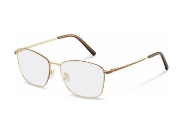 Rodenstock R2658 C 54 Glasses