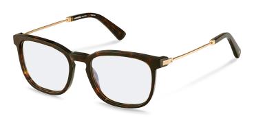 Rodenstock R8029 B 53 Brille