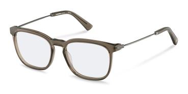 Rodenstock R8029 C 55 Brille