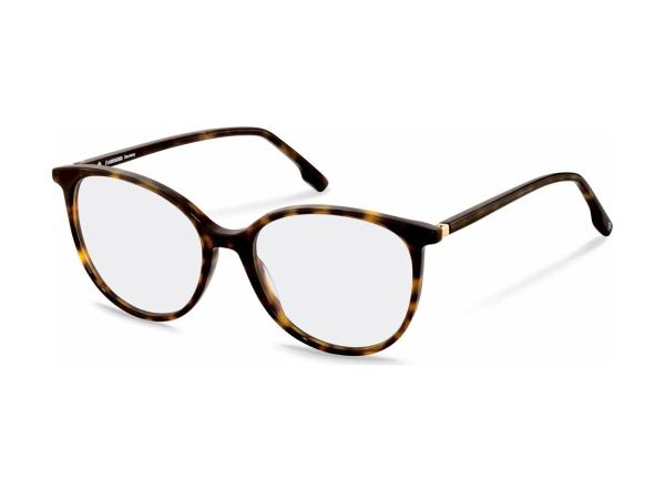 Rodenstock R5361 A 54 Glasses